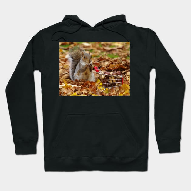 squirrel with shopping cart Hoodie by Simon-dell